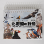 北海道の野鳥